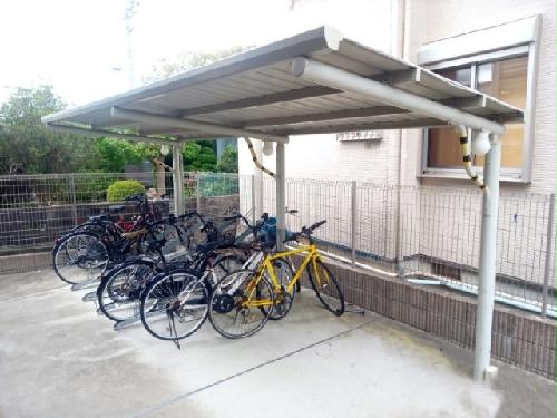 12/24 その他画像