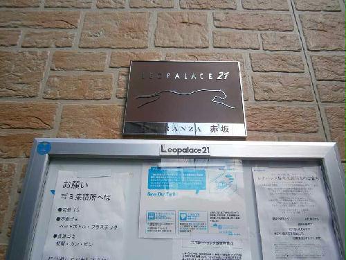 11/14 その他画像