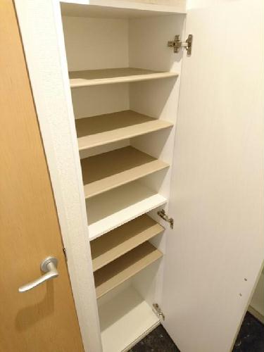 11/14 その他画像