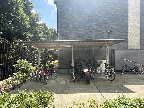 11/17 その他画像