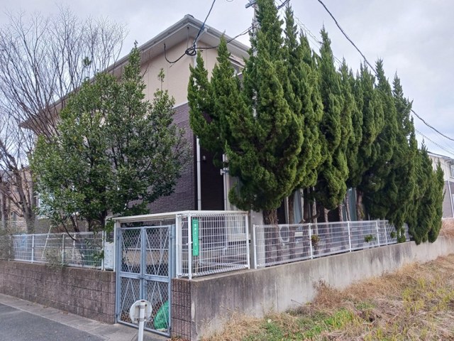 11/20 その他画像