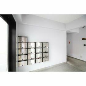 5/11 その他画像