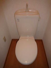 5/11 その他画像