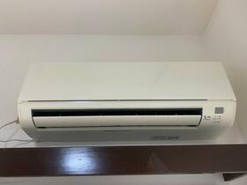 11/11 その他画像