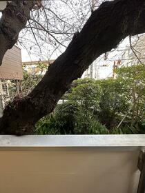 11/15 その他画像