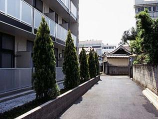 10/13 バルコニー