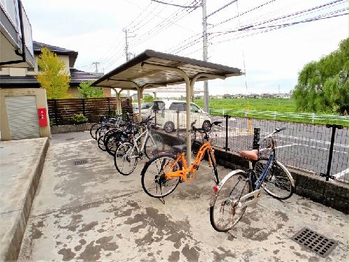 11/14 その他画像