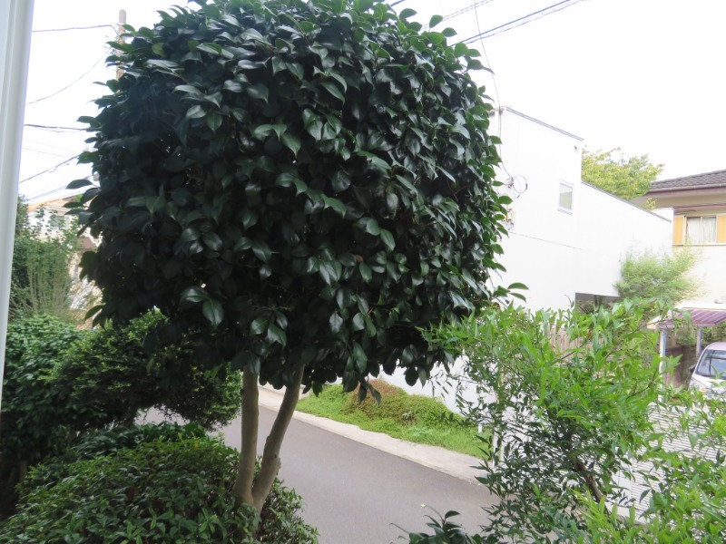 13/19 その他画像