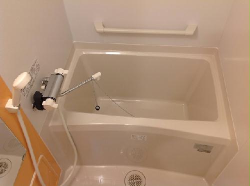 12/14 その他画像