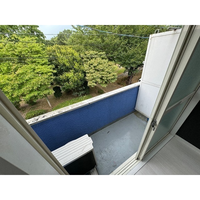 21/24 その他画像