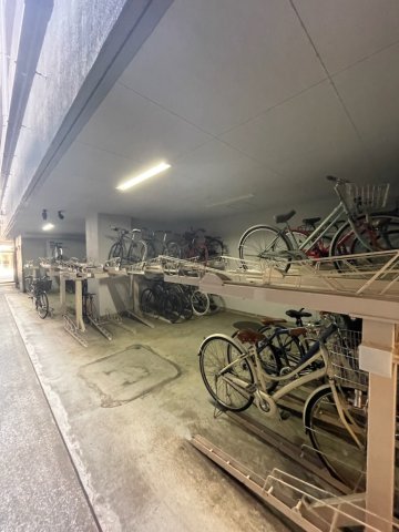 8/18 その他画像