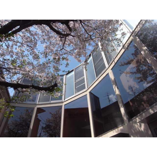 13/18 その他画像