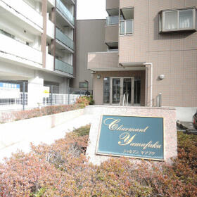 3/16 その他画像