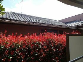 15/16 その他画像