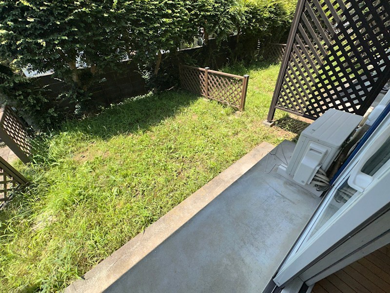 15/19 その他画像