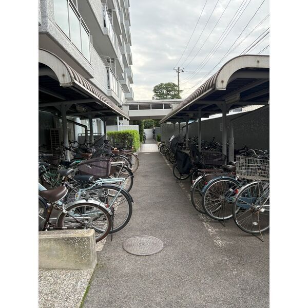 5/16 その他画像