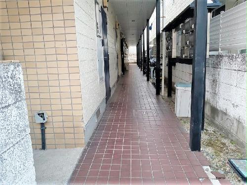 7/14 その他画像