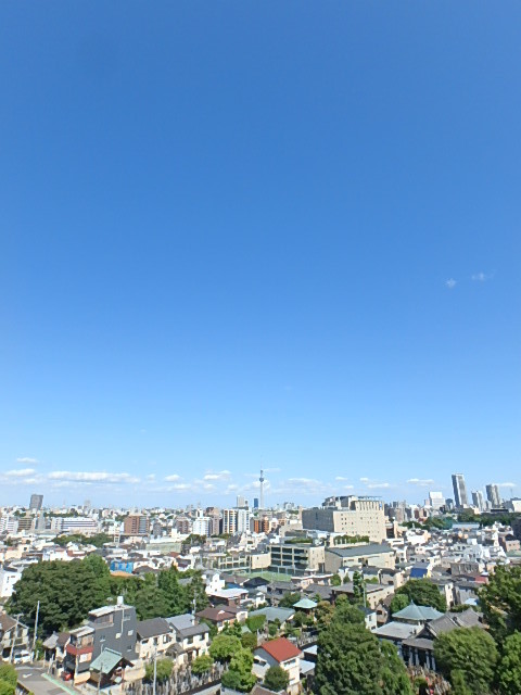 24/29 その他画像