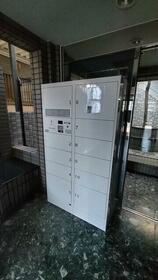 15/16 その他画像