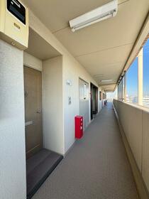 11/15 その他画像