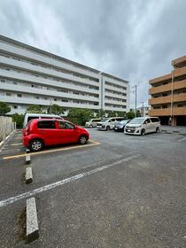 3/15 その他画像