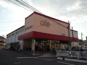 14/14 その他画像