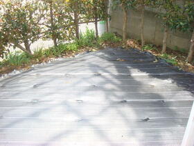 16/16 その他画像