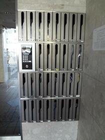 13/16 その他画像