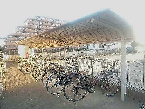 14/19 その他画像