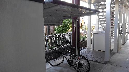 12/14 その他画像