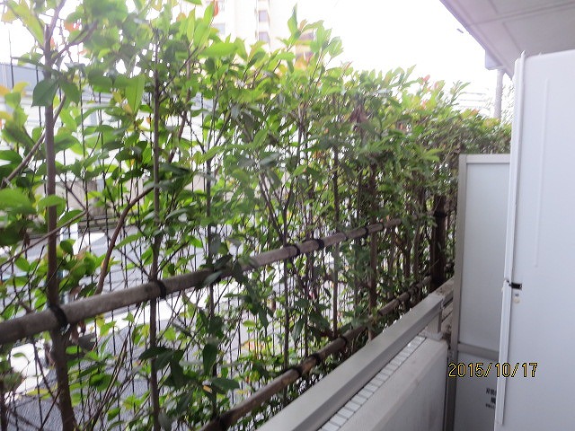 13/15 その他画像