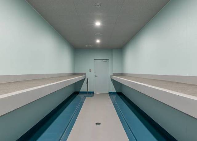 5/27 その他画像