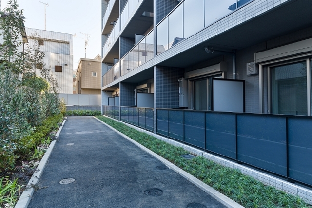 7/19 その他画像