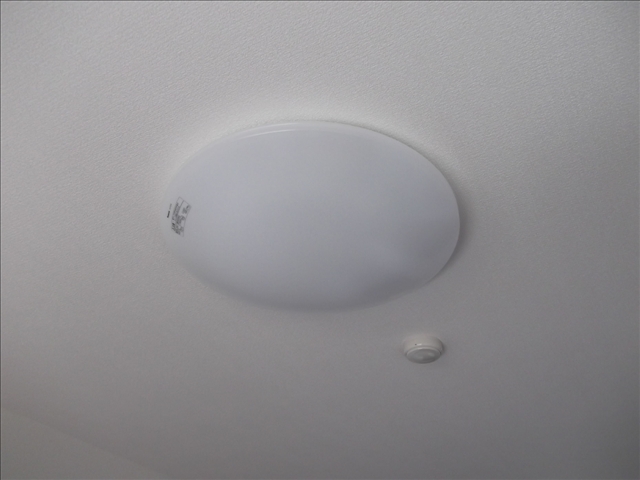 14/19 その他画像