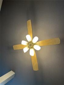 16/16 その他画像