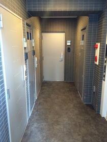 11/11 その他画像