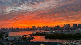 11/16 その他画像