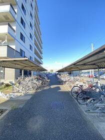 15/16 その他画像