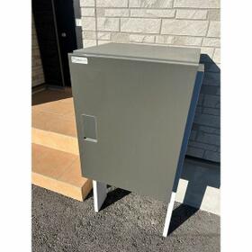 11/11 その他画像