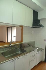 4/11 その他画像