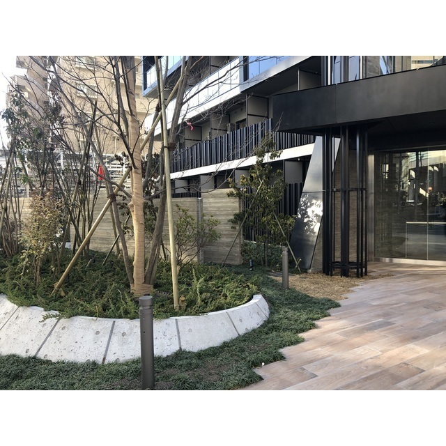 5/11 その他画像