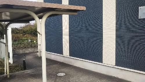 11/14 その他画像