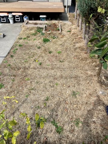 14/17 その他画像