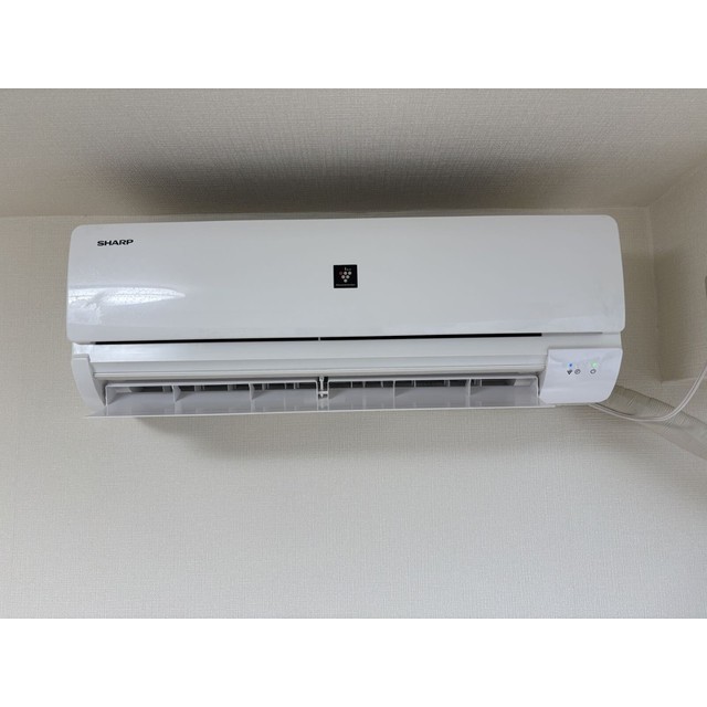 16/19 その他画像