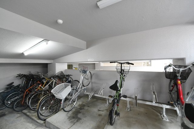 15/19 その他画像