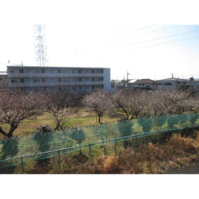 15/15 その他画像