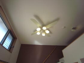 13/16 その他画像