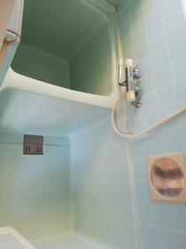 5/11 その他画像