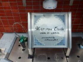 15/16 その他画像