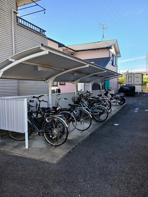 11/20 その他画像